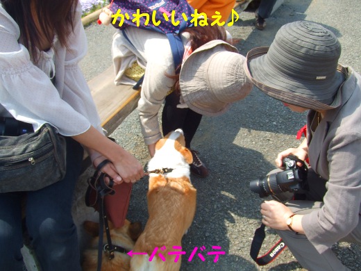 20110510_20.jpg
