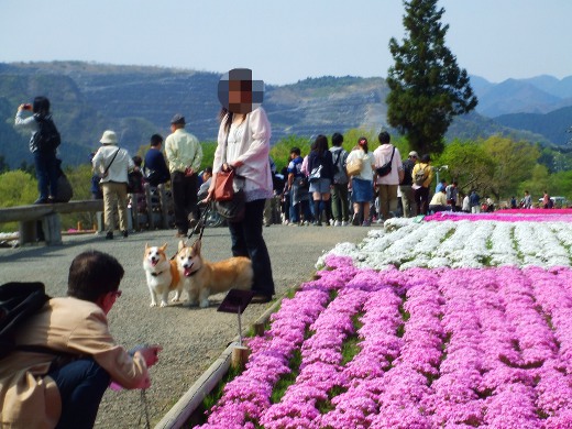 20110510_21.jpg
