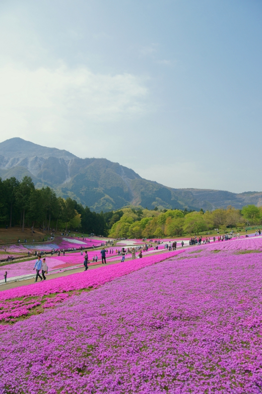 20110510_22.jpg