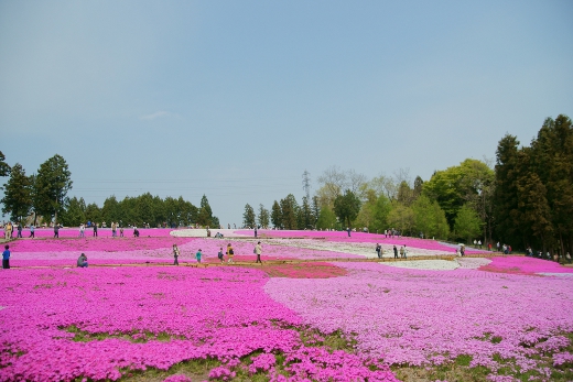 20110510_30.jpg
