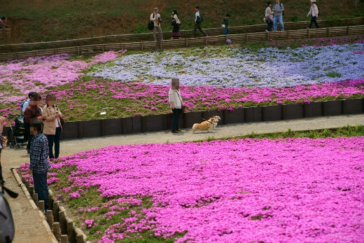 20110510_31.jpg