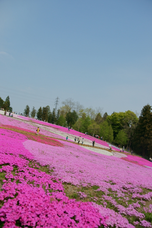20110510_33.jpg