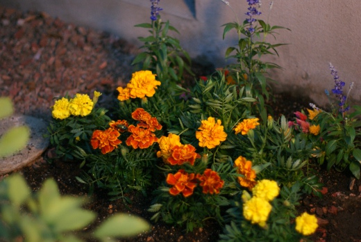 20110522_02.jpg
