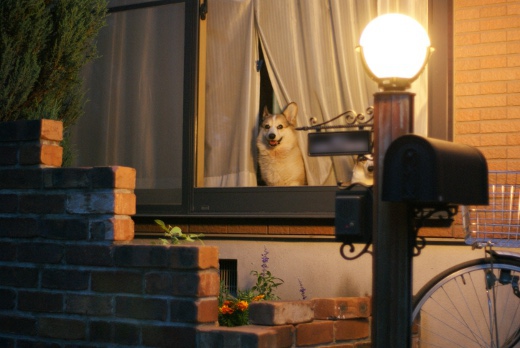 20110522_08.jpg