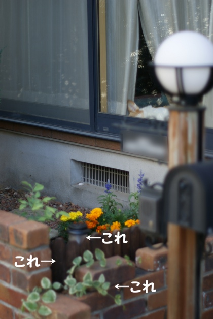 20110527_04.jpg