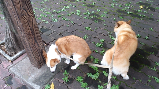 20110803_02.jpg