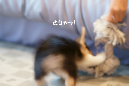 20110803_05.jpg