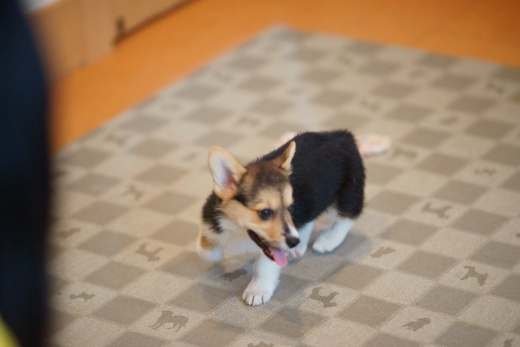 20110803_08.jpg