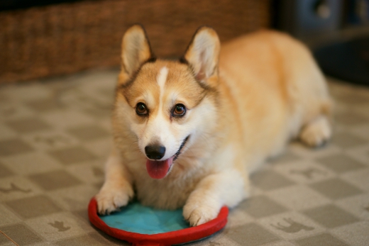 20110803_09.jpg