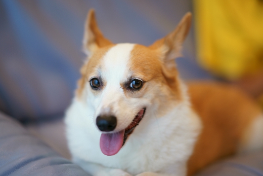 20110803_10.jpg