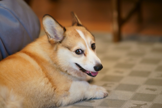 20110803_11.jpg