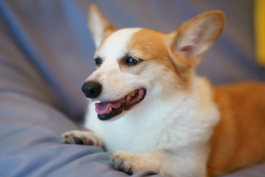 20110803_12.jpg