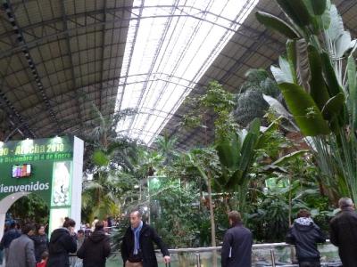 P1010341.jpg