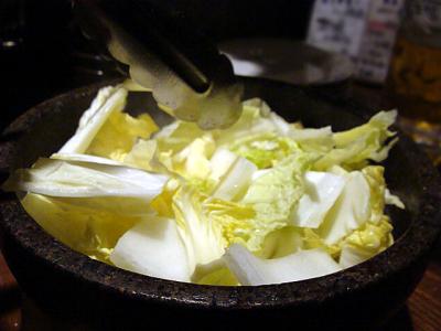 05白菜投入