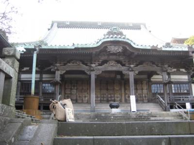 IMG_8833.jpg
