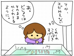 エビみえないな~