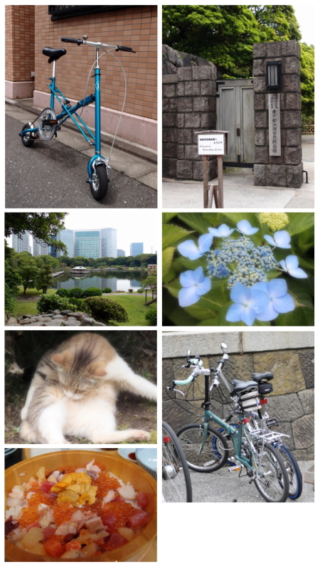 20110612_01.jpg