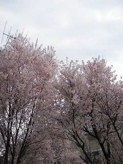 IMG_6878.jpg