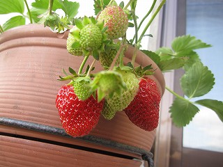 IMG_6947.jpg