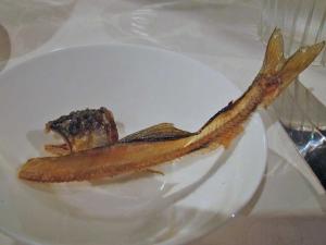 IMG_6054.jpg