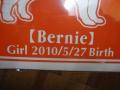 DSC04511.jpg