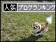 br_decobanner_20090926143221*