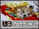 br_decobanner_20091007144328*
