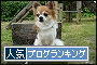br_decobanner_20091007144245*