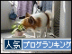 br_decobanner_20091007144420*