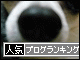 br_decobanner_20091013195331*