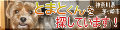 5f67cd7162611b2456bd67e8af62a395.png