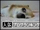 br_decobanner_20090924160718.gif