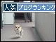 br_decobanner_20091005122010.gif