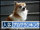 br_decobanner_20091020141405.gif