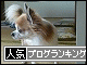 br_decobanner_20091024215859.gif