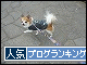 br_decobanner_20091025172413.gif