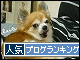 br_decobanner_20091029214725.gif