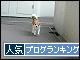 br_decobanner_20091109213349.gif