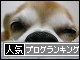 br_decobanner_20091110221736.gif