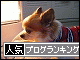 br_decobanner_20091120215110.gif