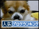 br_decobanner_20091123162212.gif