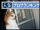 br_decobanner_20091206154412.gif