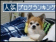 br_decobanner_20091210221236.gif