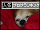 br_decobanner_20091216221202.gif