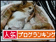 br_decobanner_20091218213940.gif