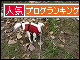 br_decobanner_20091223144824.gif