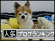 br_decobanner_20091227164030.gif