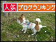 br_decobanner_20100111141603.gif