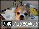 br_decobanner_20100119213545.gif