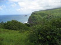 IMG_5695.jpg
